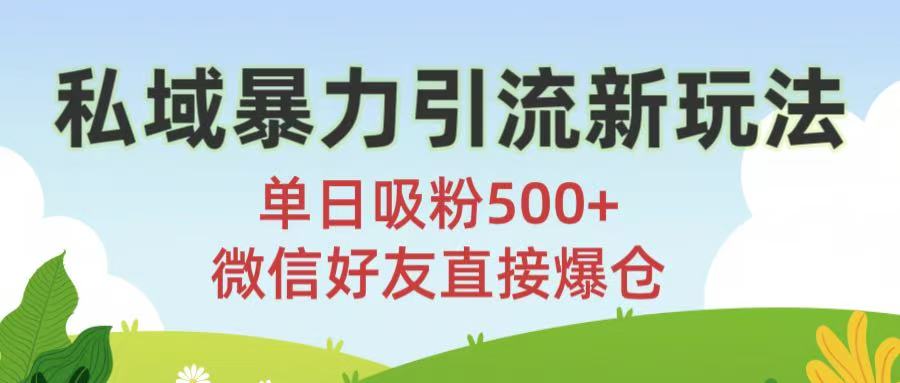 私域暴力引流新玩法!单日吸粉500+,微信好友直接爆仓大成网创吧-网创项目资源站-副业项目-创业项目-搞钱项目大成网创吧