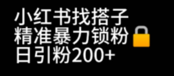 小红书找搭子暴力精准锁粉+引流日引200+精准粉大成网创吧-网创项目资源站-副业项目-创业项目-搞钱项目大成网创吧