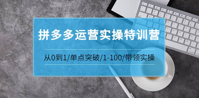 拼多多运营实操特训营：从0到1/单点突破/1-100/带领实操 价值2980元大成网创吧-网创项目资源站-副业项目-创业项目-搞钱项目大成网创吧