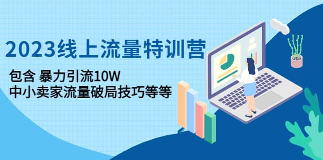 2023线上流量特训营：中小卖家流量破局技巧等等大成网创吧-网创项目资源站-副业项目-创业项目-搞钱项目大成网创吧