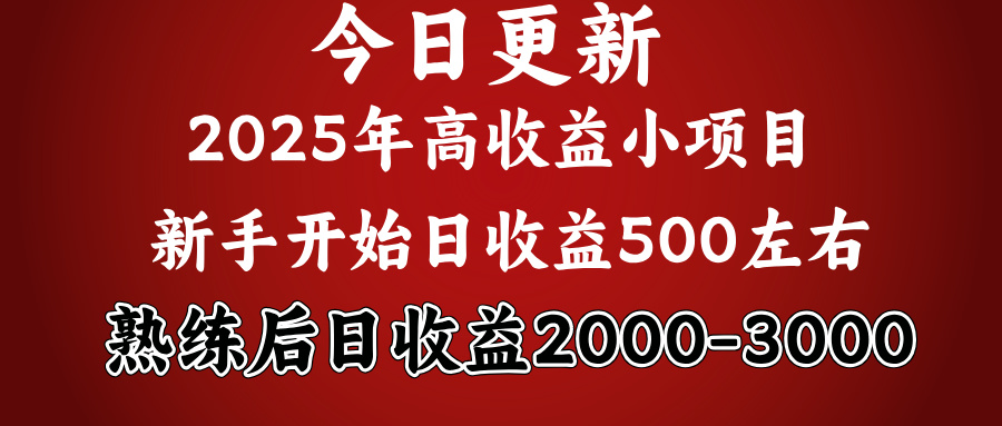 好项目一眼就能看出来，日收益1000，长久可做，2025拼的就是我比你勤奋大成网创吧-网创项目资源站-副业项目-创业项目-搞钱项目大成网创吧
