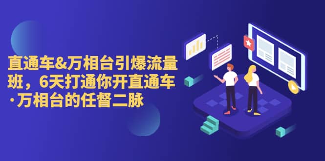 直通车+万相台引爆流量班，6天打通你开直通车·万相台的任督 二脉大成网创吧-网创项目资源站-副业项目-创业项目-搞钱项目大成网创吧