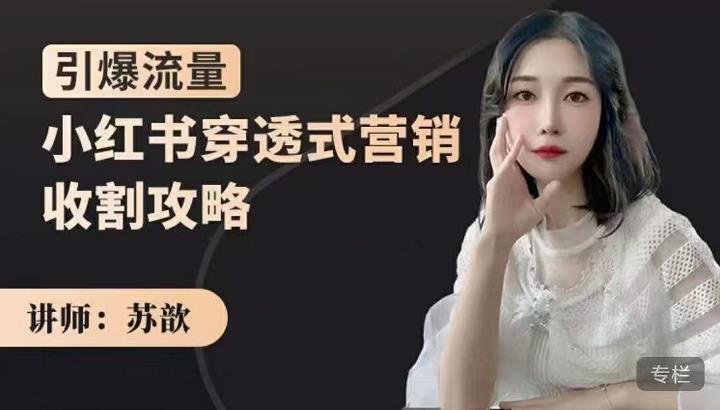 小红书穿透式营销收割攻略，引爆流量，助你玩转小红书大成网创吧-网创项目资源站-副业项目-创业项目-搞钱项目大成网创吧