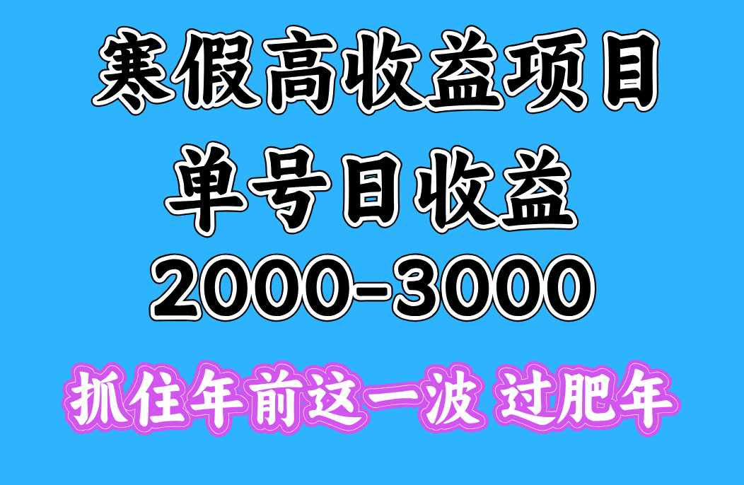 寒假期间一天收益2000-3000+，抓住年前这一波大成网创吧-网创项目资源站-副业项目-创业项目-搞钱项目大成网创吧