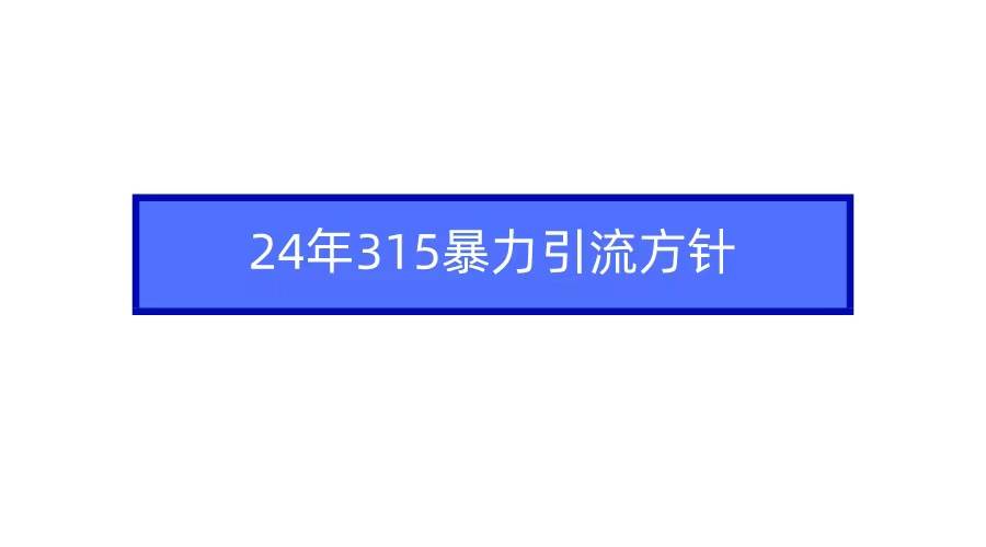2024年315暴力引流方针大成网创吧-网创项目资源站-副业项目-创业项目-搞钱项目大成网创吧