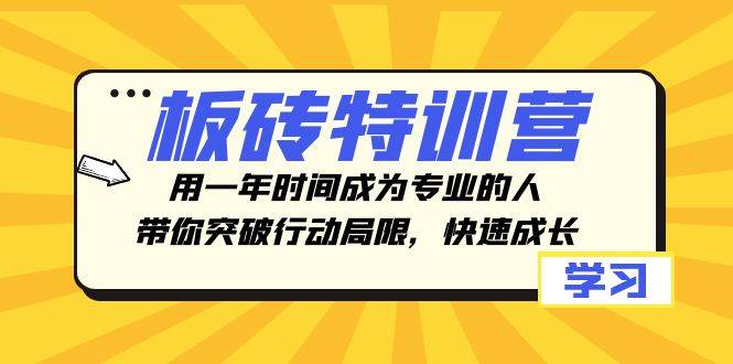 板砖特训营，用一年时间成为专业的人，带你突破行动局限，快速成长大成网创吧-网创项目资源站-副业项目-创业项目-搞钱项目大成网创吧