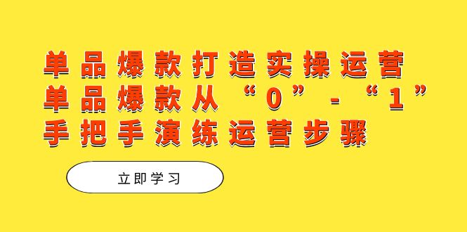 单品爆款打造实操运营，单品爆款从“0”-“1”手把手演练运营步骤大成网创吧-网创项目资源站-副业项目-创业项目-搞钱项目大成网创吧