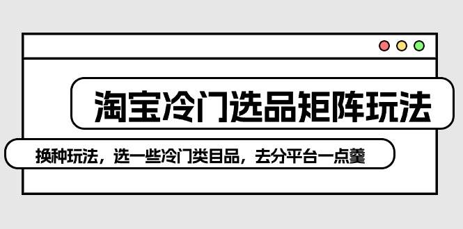 淘宝冷门选品矩阵玩法：换种玩法，选一些冷门类目品，去分平台一点羹大成网创吧-网创项目资源站-副业项目-创业项目-搞钱项目大成网创吧