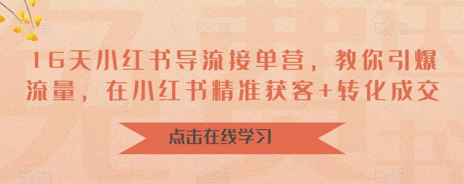 16天-小红书 导流接单营，教你引爆流量，在小红书精准获客+转化成交大成网创吧-网创项目资源站-副业项目-创业项目-搞钱项目大成网创吧