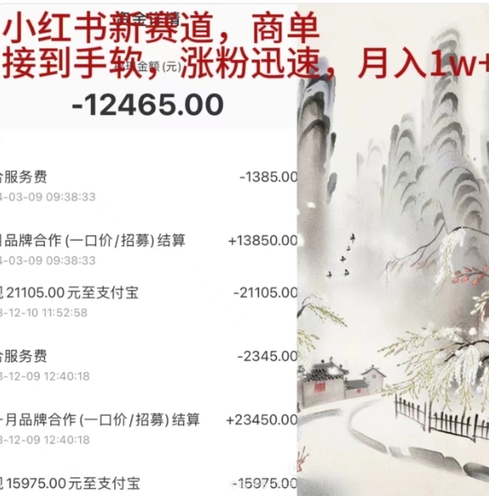 小红书新赛道，商单接到手软，涨粉迅速，一个月1w+大成网创吧-网创项目资源站-副业项目-创业项目-搞钱项目大成网创吧