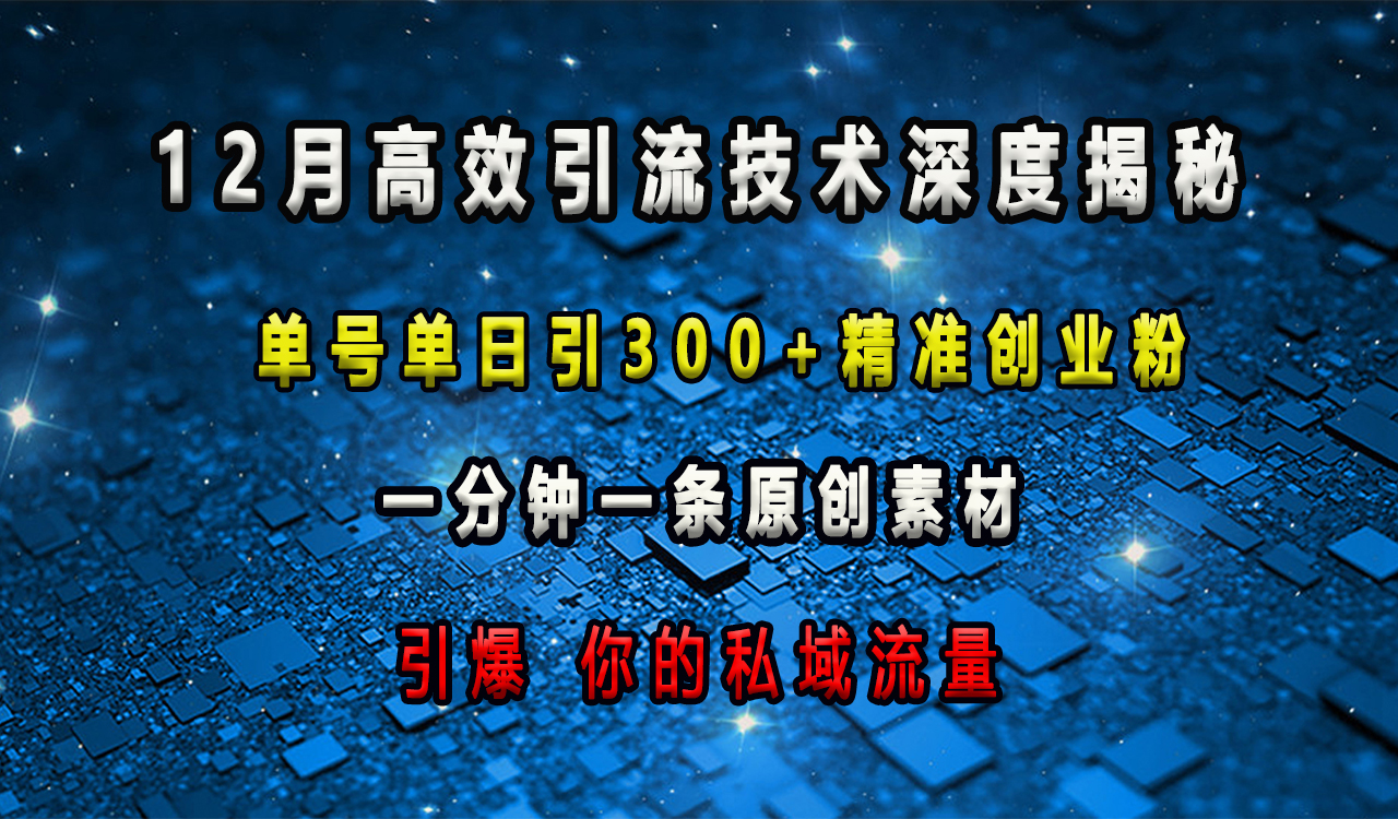 12月高效引流技术深度揭秘 ，单号单日引300+精准创业粉，一分钟一条原创素材，引爆你的私域流量大成网创吧-网创项目资源站-副业项目-创业项目-搞钱项目大成网创吧
