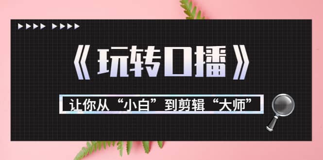 月营业额700万+大佬教您《玩转口播》让你从“小白”到剪辑“大师”大成网创吧-网创项目资源站-副业项目-创业项目-搞钱项目大成网创吧