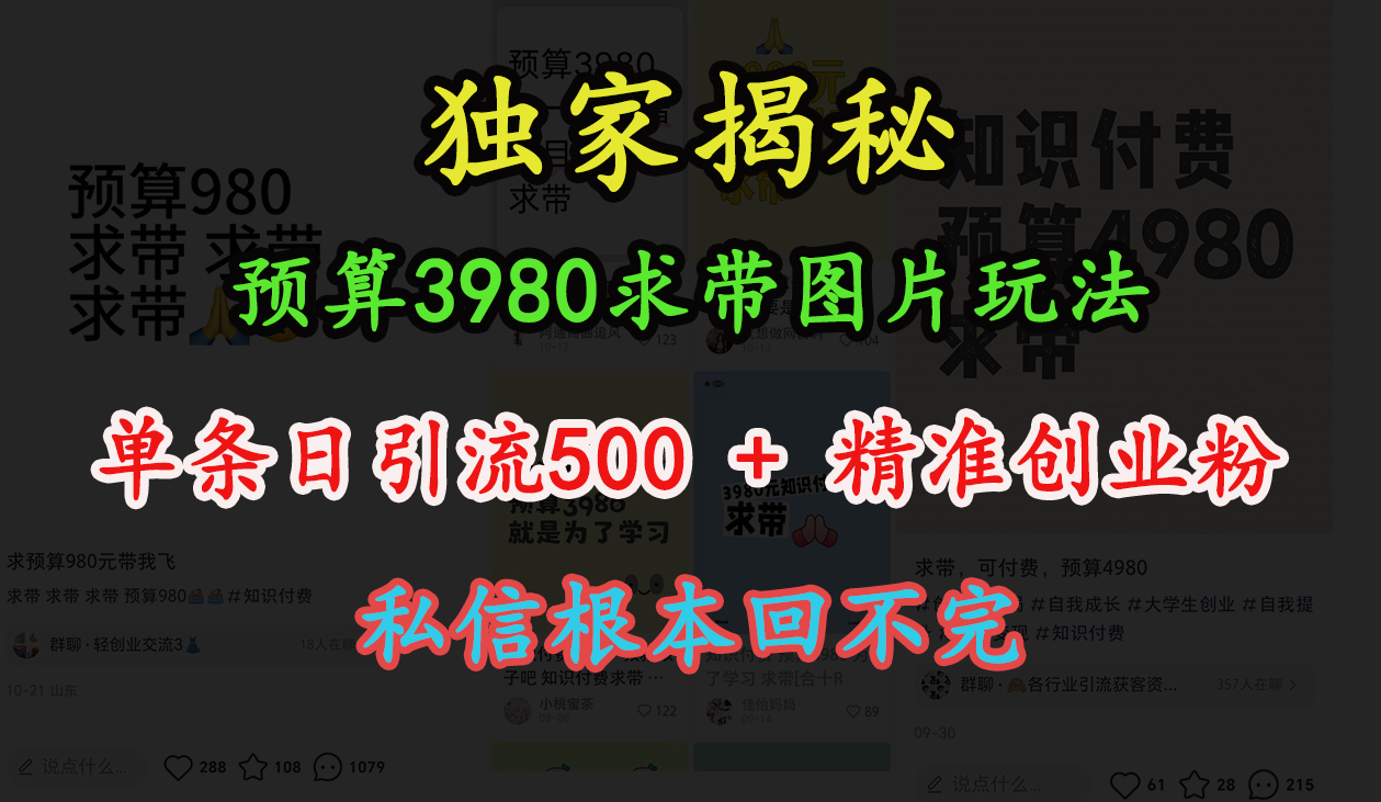 “小红书”预算3980求带 图片玩法，单条日引流500+精准创业粉，私信根本回不完大成网创吧-网创项目资源站-副业项目-创业项目-搞钱项目大成网创吧