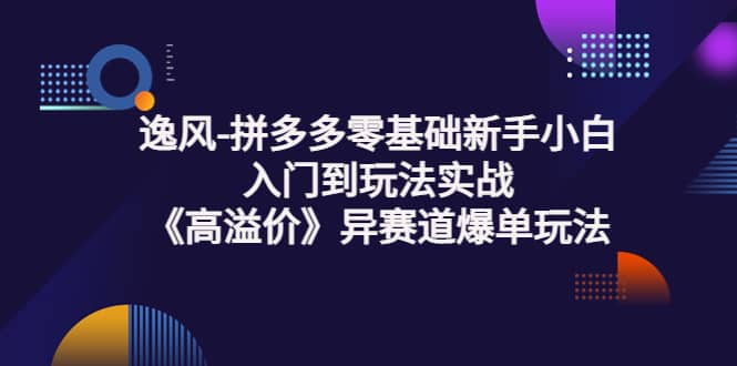 拼多多零基础新手小白入门到玩法实战《高溢价》异赛道爆单玩法实操课大成网创吧-网创项目资源站-副业项目-创业项目-搞钱项目大成网创吧