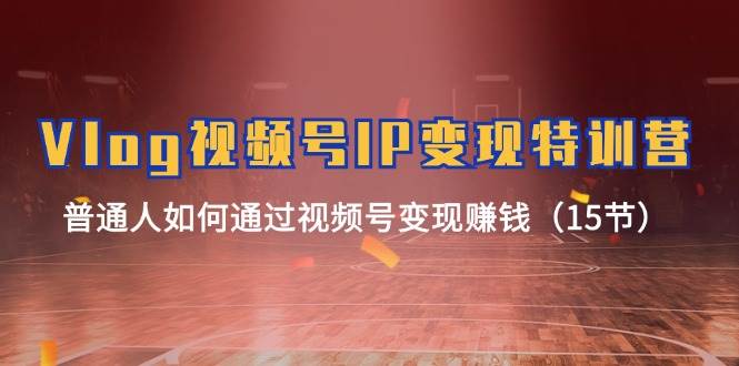 Vlog 视频号IP变现特训营，普通人如何通过视频号变现赚钱（15节）大成网创吧-网创项目资源站-副业项目-创业项目-搞钱项目大成网创吧