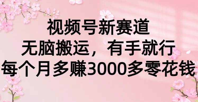 视频号新赛道，无脑搬运，有手就行，每个月多赚3000多零花钱大成网创吧-网创项目资源站-副业项目-创业项目-搞钱项目大成网创吧