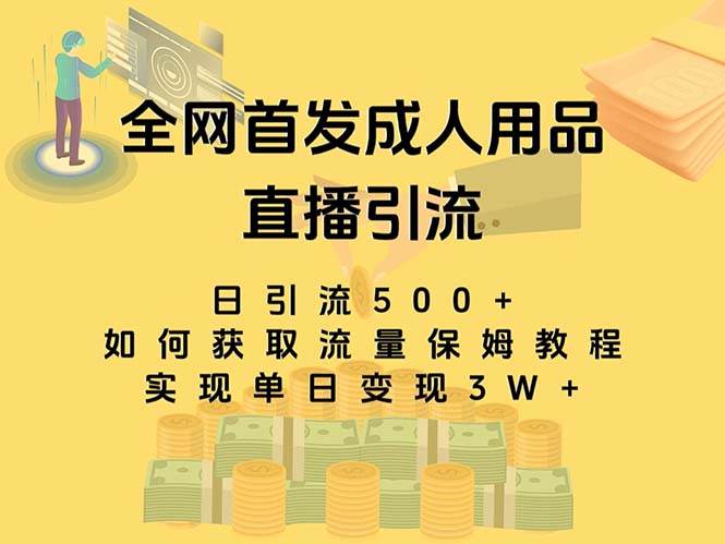 最新全网独创首发，成人用品直播引流获客暴力玩法，单日变现3w保姆级教程大成网创吧-网创项目资源站-副业项目-创业项目-搞钱项目大成网创吧