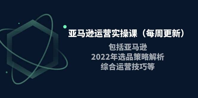 亚马逊运营实操课（每周更新）包括亚马逊2022选品策略解析，综合运营技巧等大成网创吧-网创项目资源站-副业项目-创业项目-搞钱项目大成网创吧