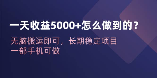 一天收益5000+怎么做到的？无脑搬运即可，长期稳定项目，一部手机可做大成网创吧-网创项目资源站-副业项目-创业项目-搞钱项目大成网创吧