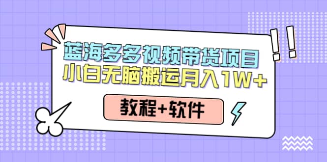 人人都能操作的蓝海多多视频带货项目 小白无脑搬运（教程+软件）大成网创吧-网创项目资源站-副业项目-创业项目-搞钱项目大成网创吧