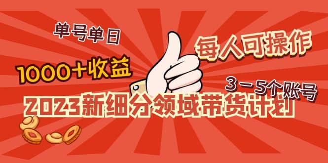 2023新细分领域带货计划：单号单日1000+收益不难，每人可操作3-5个账号大成网创吧-网创项目资源站-副业项目-创业项目-搞钱项目大成网创吧