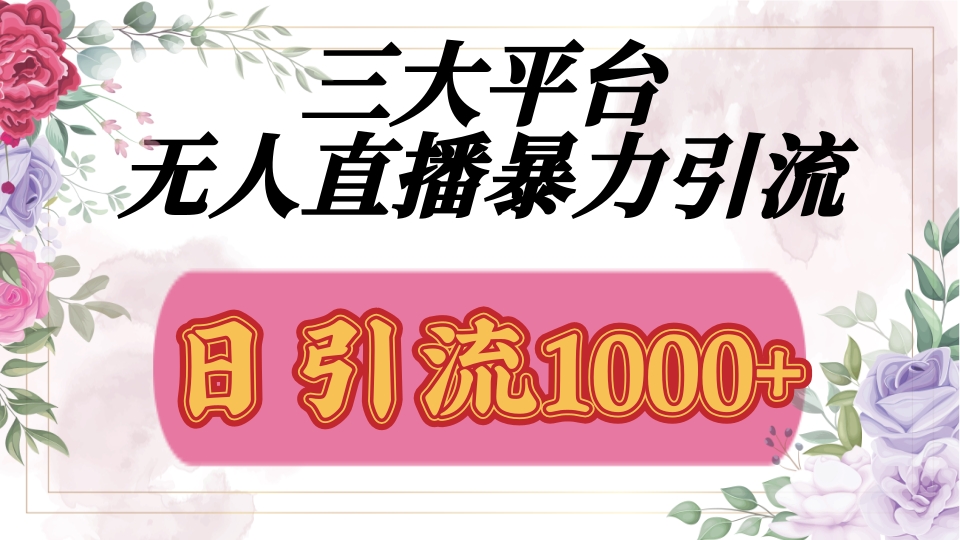 抖音，快手，视频号全平台通用，无人直播引流法，利用图片,模板,整套话术挂机全天支持矩阵操作，无限设备多开，超暴力引流，1000+高质量精准创业粉大成网创吧-网创项目资源站-副业项目-创业项目-搞钱项目大成网创吧