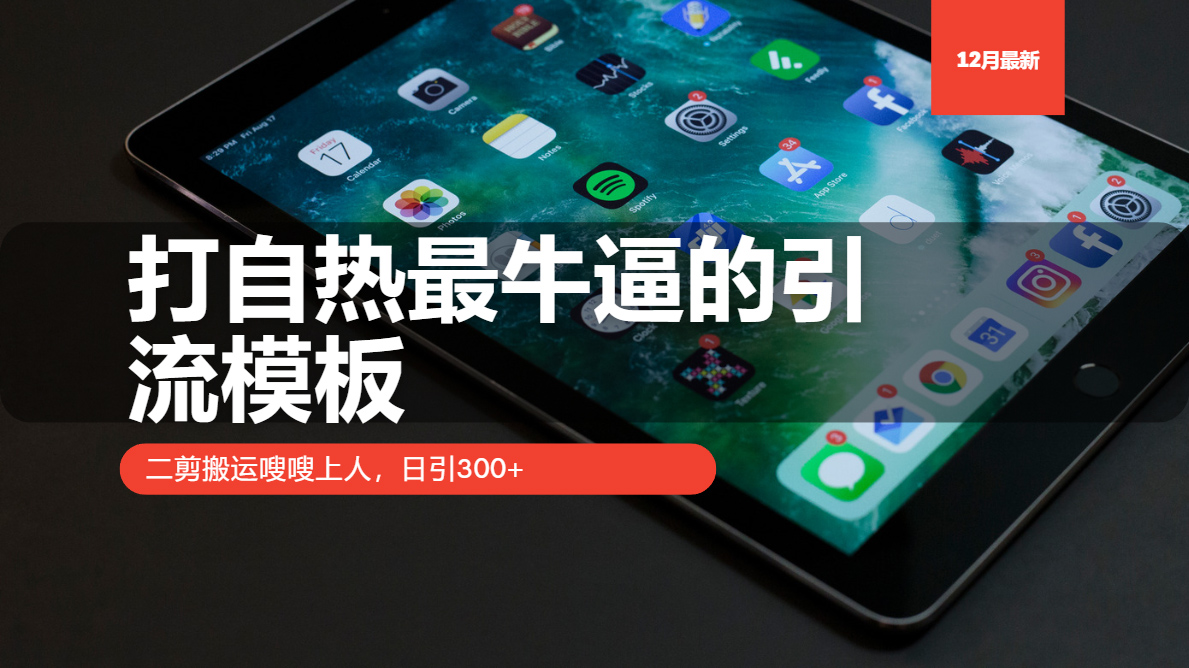 打自热最牛逼的引流模板，日引300+，二剪搬运嗖嗖上人大成网创吧-网创项目资源站-副业项目-创业项目-搞钱项目大成网创吧