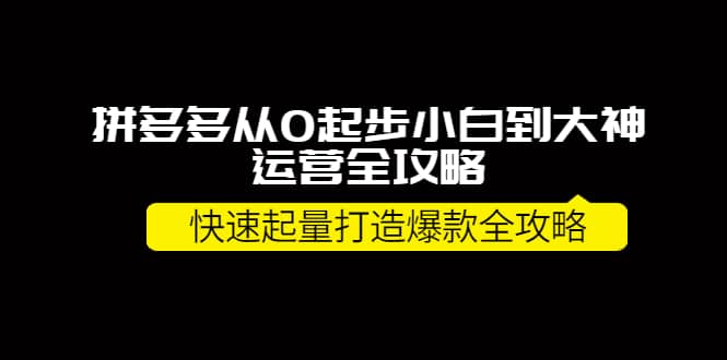 拼多多从0起步小白到大神运营全攻略大成网创吧-网创项目资源站-副业项目-创业项目-搞钱项目大成网创吧