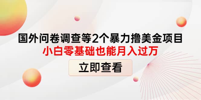 国外问卷调查等2个暴力撸美元项目，小白零基础也能月入过万大成网创吧-网创项目资源站-副业项目-创业项目-搞钱项目大成网创吧