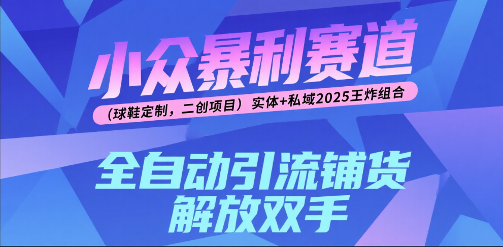 楠—小众暴利赛道（球鞋定制，二创项目）实体+私域2025王炸组合大成网创吧-网创项目资源站-副业项目-创业项目-搞钱项目大成网创吧