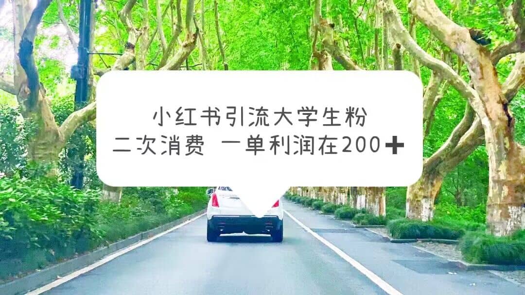 小红书引流大学生粉，变现项目，一单利润在200+（教程+资源）大成网创吧-网创项目资源站-副业项目-创业项目-搞钱项目大成网创吧