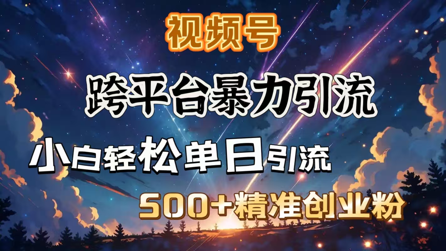 视频号跨平台暴力引流，小白轻松单日引流500＋精准创业粉大成网创吧-网创项目资源站-副业项目-创业项目-搞钱项目大成网创吧