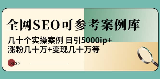 《全网SEO可参考案例库》几十个实操案例大成网创吧-网创项目资源站-副业项目-创业项目-搞钱项目大成网创吧