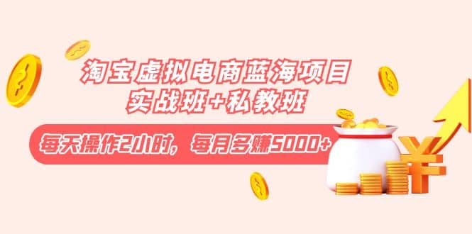 淘宝虚拟电商蓝海项目实战班+私教班大成网创吧-网创项目资源站-副业项目-创业项目-搞钱项目大成网创吧