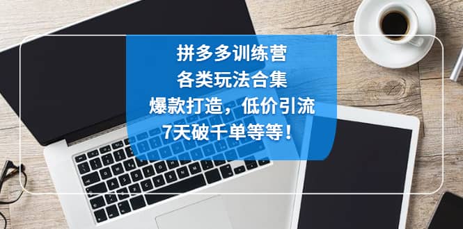 拼多多训练营：各玩法合集，爆款打造，低价引流，7天破千单等等大成网创吧-网创项目资源站-副业项目-创业项目-搞钱项目大成网创吧