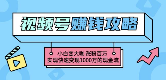 玩转微信视频号赚钱：小白变大咖涨粉百万实现快速变现1000万的现金流大成网创吧-网创项目资源站-副业项目-创业项目-搞钱项目大成网创吧