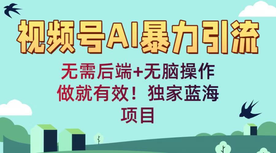 视频号AI暴力引流：无需后端+无脑操作，做就有效！独家蓝海项目大成网创吧-网创项目资源站-副业项目-创业项目-搞钱项目大成网创吧