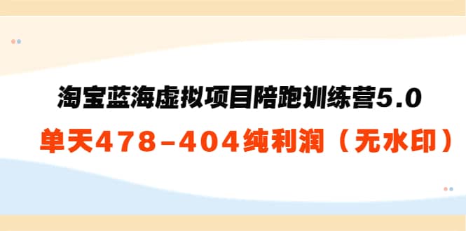 淘宝蓝海虚拟项目陪跑训练营5.0：单天478纯利润（无水印）大成网创吧-网创项目资源站-副业项目-创业项目-搞钱项目大成网创吧