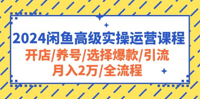 2024闲鱼高级实操运营课程：开店/养号/选择爆款/引流/月入2万/全流程大成网创吧-网创项目资源站-副业项目-创业项目-搞钱项目大成网创吧