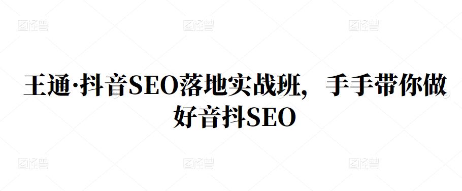 王通·抖音SEO落地实战班，手‬手带你做好音抖‬‬SEO大成网创吧-网创项目资源站-副业项目-创业项目-搞钱项目大成网创吧