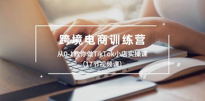 跨境电商训练营：从0-1教你做TikTok小店实操课（17节视频课）大成网创吧-网创项目资源站-副业项目-创业项目-搞钱项目大成网创吧