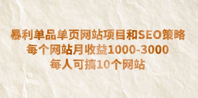 暴利单品单页网站项目和SEO策略 每个网站月收益1000-3000 每人可搞10个大成网创吧-网创项目资源站-副业项目-创业项目-搞钱项目大成网创吧