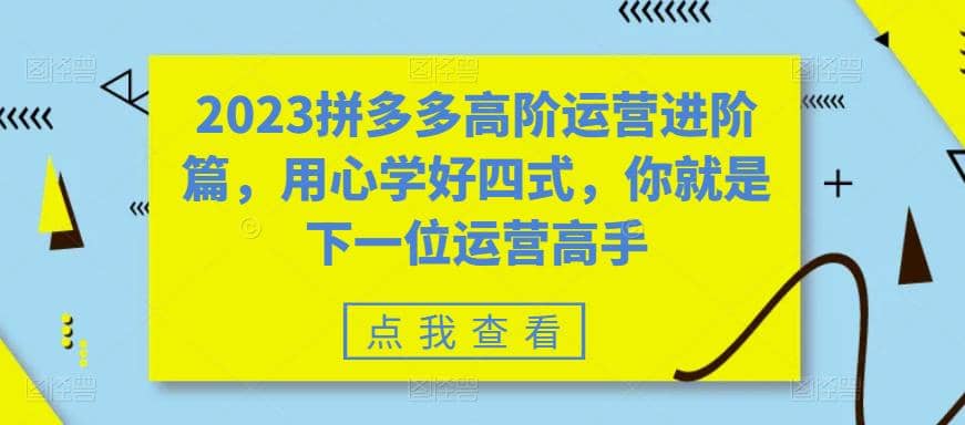 2023拼多多高阶运营进阶篇,用心学好四式,你就是下一位运营高手大成网创吧-网创项目资源站-副业项目-创业项目-搞钱项目大成网创吧