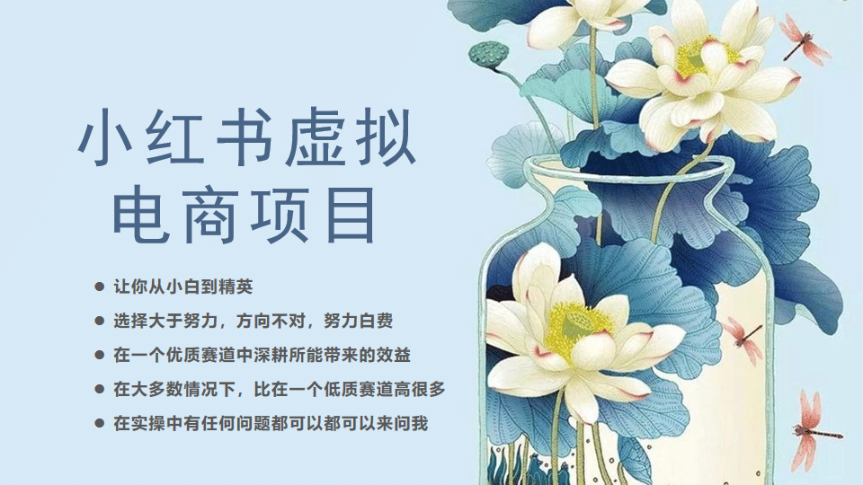 小红书虚拟电商从0到1，让你从小白到精英（20节实操课程）大成网创吧-网创项目资源站-副业项目-创业项目-搞钱项目大成网创吧