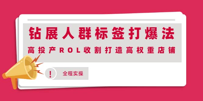 钻展人群标签打爆法，高投产ROL收割打造高权重店铺(全程实操)网创吧-网创项目资源站-副业项目-创业项目-搞钱项目大成网创吧