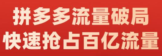 阿杰·拼多多流量破局:如何打黑标，爆款的思路，拼多多流量框架，快速抢占百亿流量大成网创吧-网创项目资源站-副业项目-创业项目-搞钱项目大成网创吧