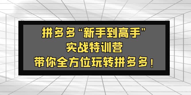 拼多多“新手到高手”实战特训营：带你全方位玩转拼多多大成网创吧-网创项目资源站-副业项目-创业项目-搞钱项目大成网创吧