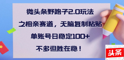 全网首发微头条野路子2.0玩法之相亲赛道，无脑搬砖复制粘贴，单账号日稳定300+保姆级教程大成网创吧-网创项目资源站-副业项目-创业项目-搞钱项目大成网创吧