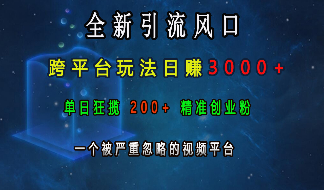 全新引流风口，跨平台玩法日赚3000+，单日狂揽200+精准创业粉，一个被严重忽略的视频平台大成网创吧-网创项目资源站-副业项目-创业项目-搞钱项目大成网创吧