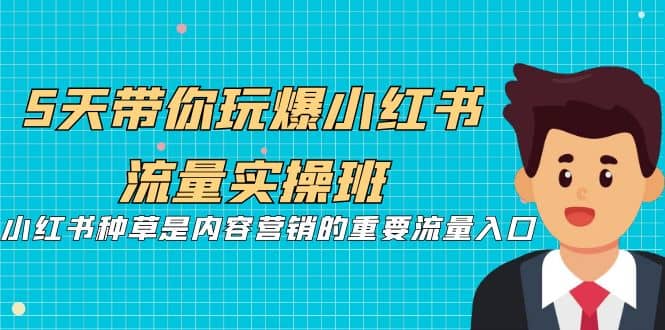 5天带你玩爆小红书流量实操班，小红书种草是内容营销的重要流量入口大成网创吧-网创项目资源站-副业项目-创业项目-搞钱项目大成网创吧